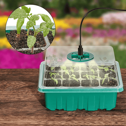 🔥 Last Day 50% OFF-Adjustable Humidity Seed Starter Trays