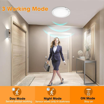 🔥2026 New Rechargeable Human Body Induction Ceiling Light
