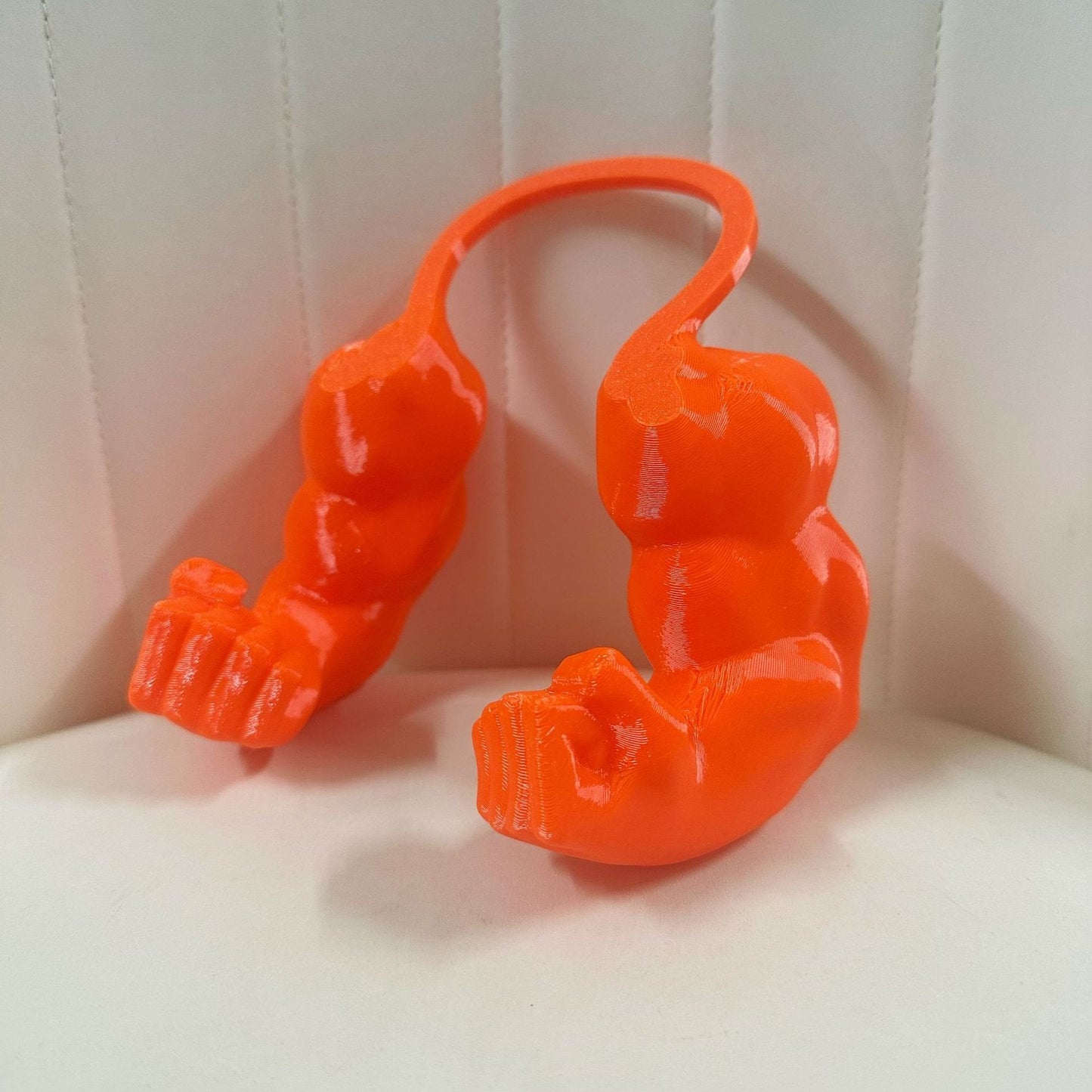 🐱💪3D Printed Cat Muscle Arm