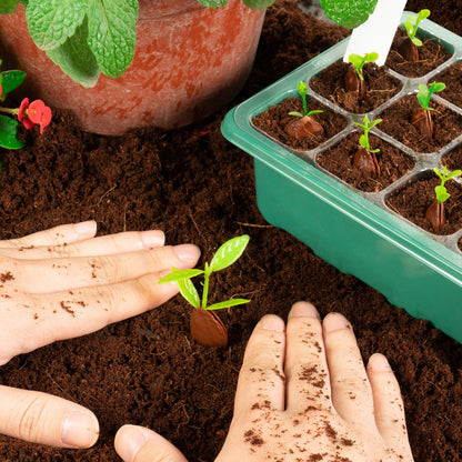 🔥 Last Day 50% OFF-Adjustable Humidity Seed Starter Trays