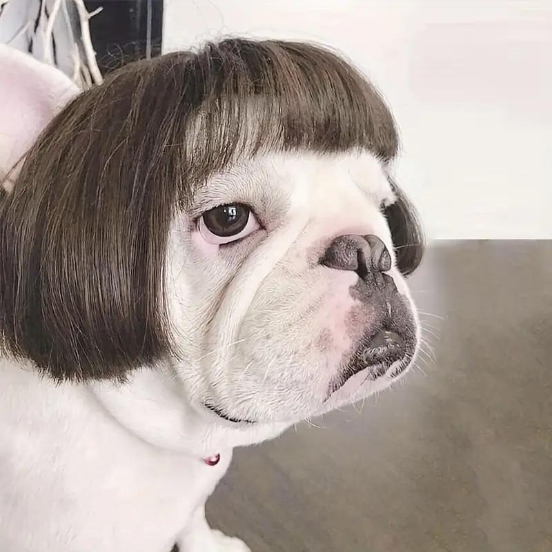 🔥Last Day 49% OFF🐶 Funny Pet Wig Headband for Dogs & Cats