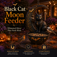 🐈‍⬛  Black Cat Moon