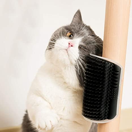 🔥Last Day 49% OFF -🎉🔥Corner Massage Cat Brush