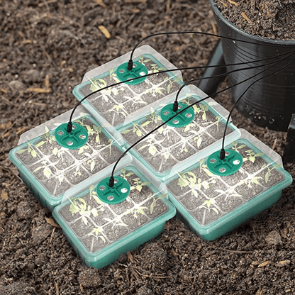 🔥 Last Day 50% OFF-Adjustable Humidity Seed Starter Trays
