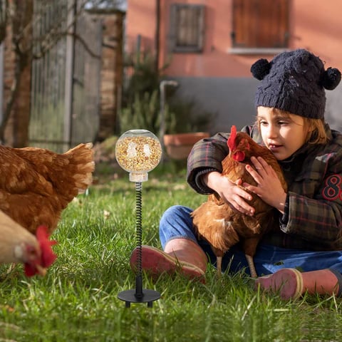 🔥Last Day 50% OFF - 🐔Chicken Peck Toy | Chick Slow Feeder Toy(2 PCS)
