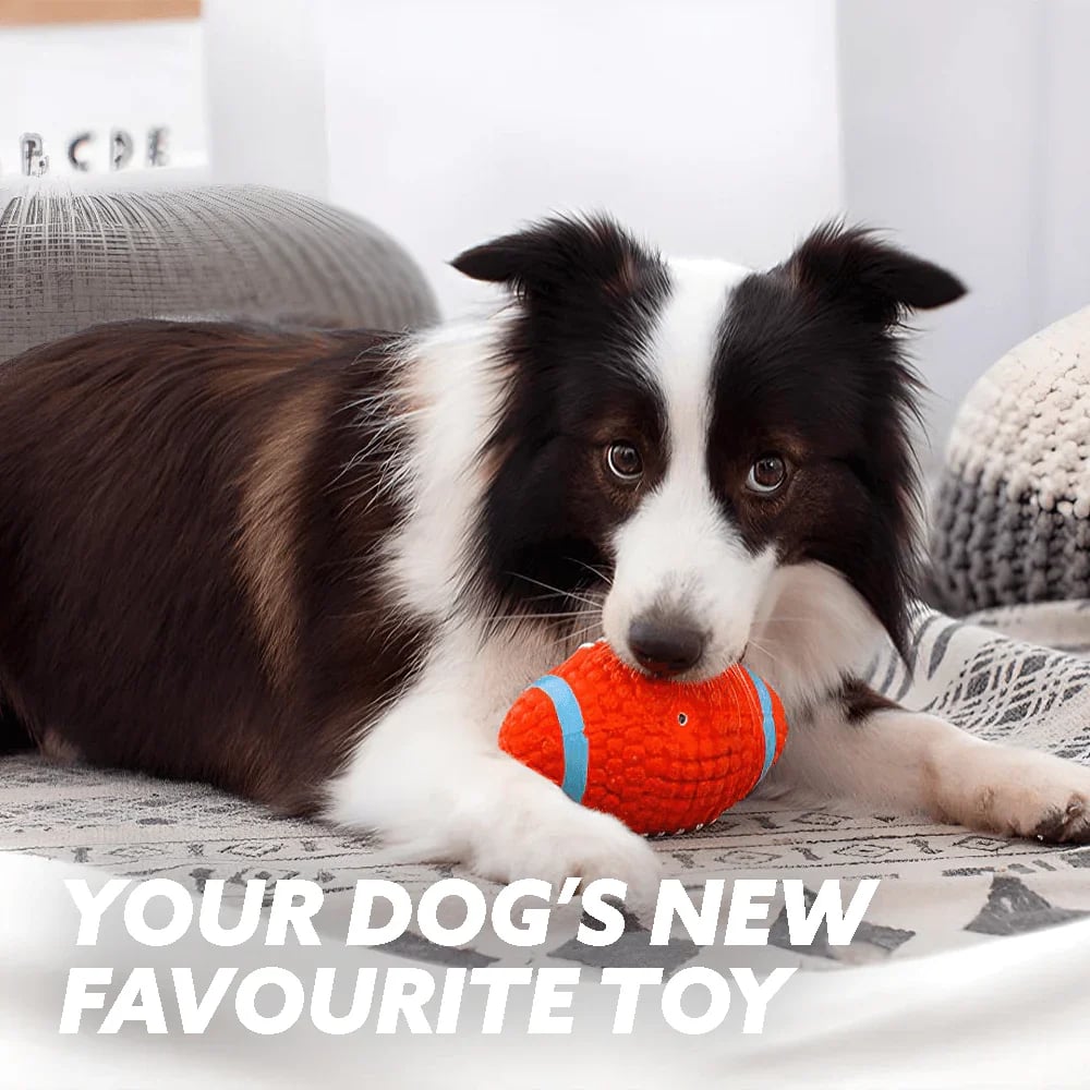The Last Dog Toy You'll Ever Buy 🐾 — Bouncy, Squeaky & Built to Last