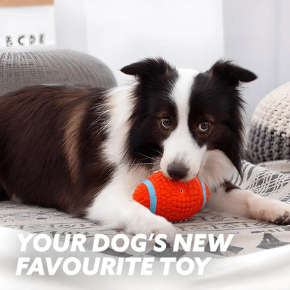 The Last Dog Toy You'll Ever Buy 🐾 — Bouncy, Squeaky & Built to Last