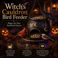 🧙‍♀️  Witch’s Cauldron