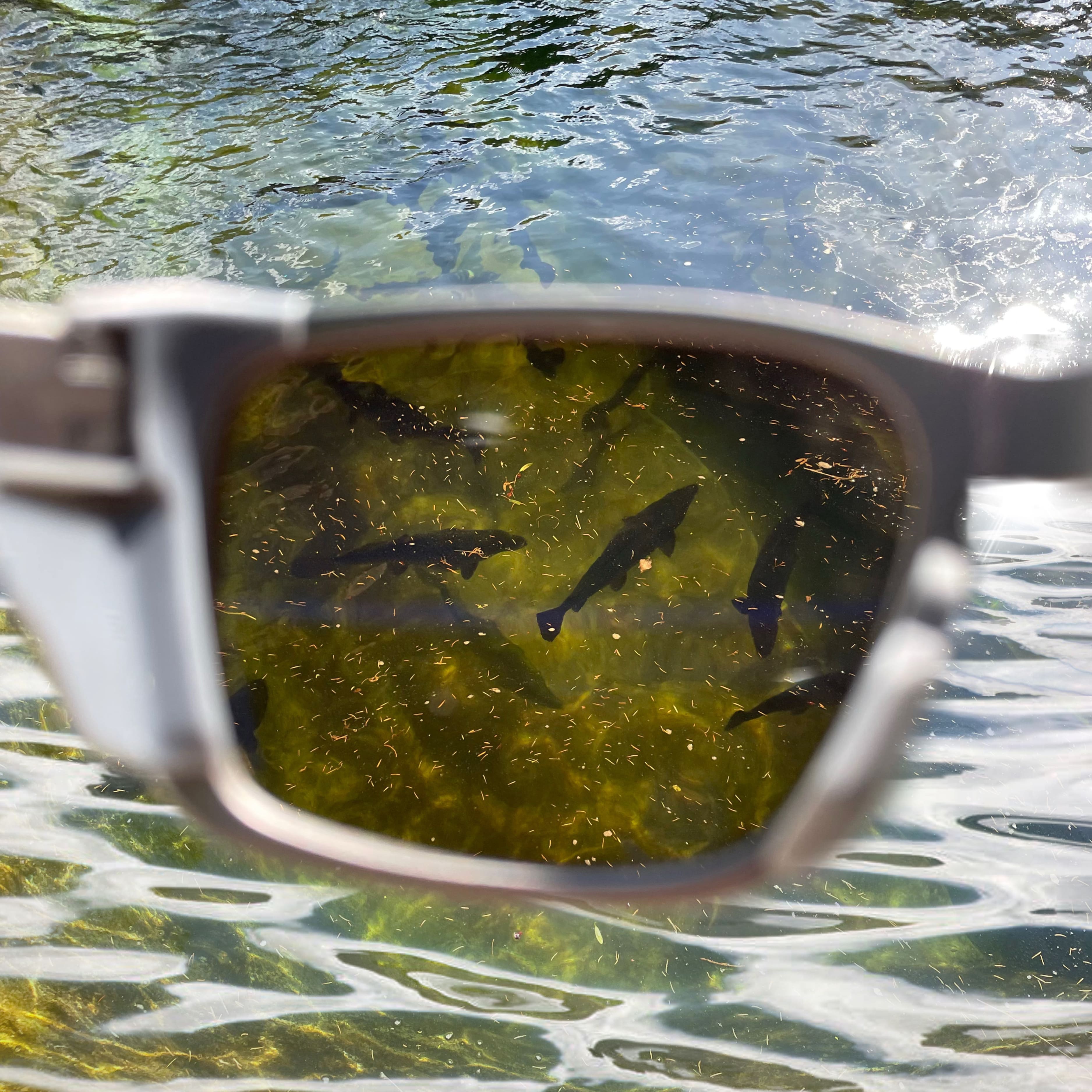 HydroView Fishing Optics - Fishing Glasses