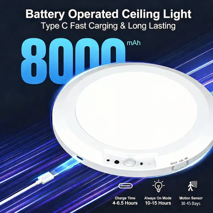 🔥2026 New Rechargeable Human Body Induction Ceiling Light