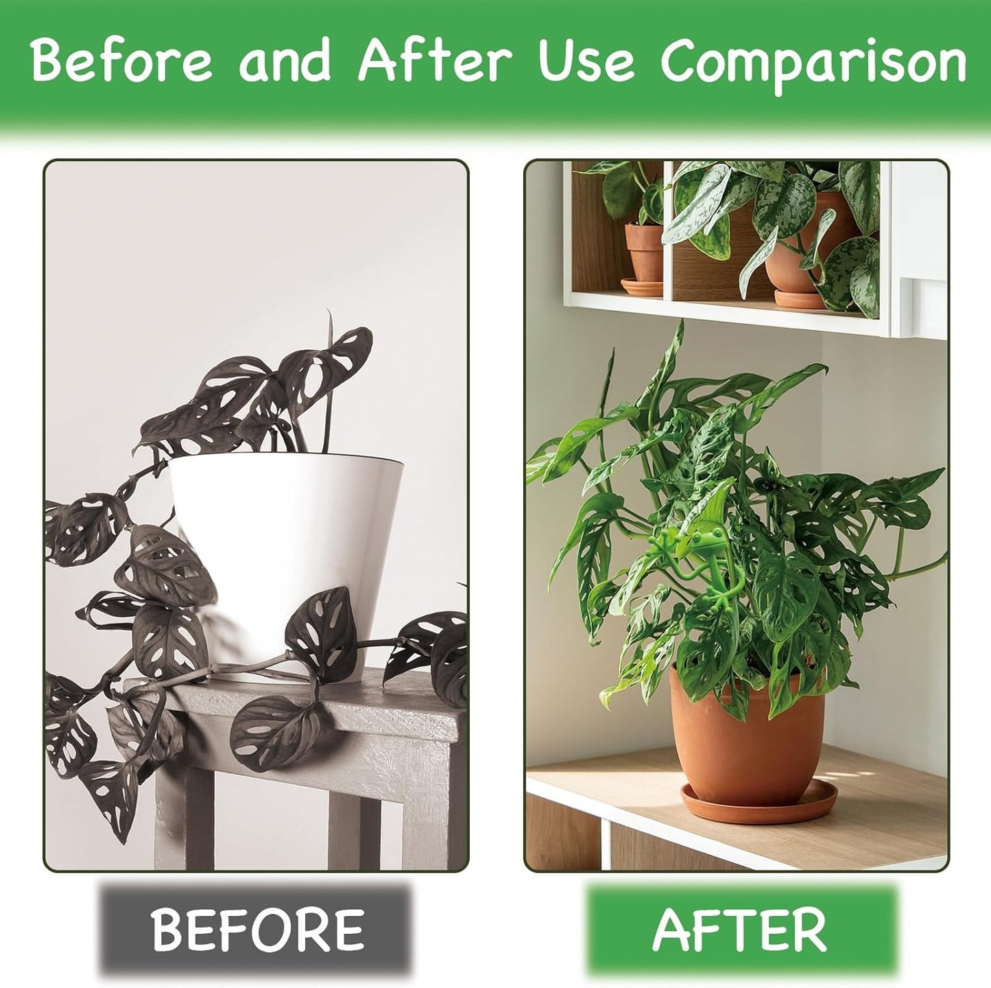 🔥Last Day 70% OFF🐸Frog Plant Holder
