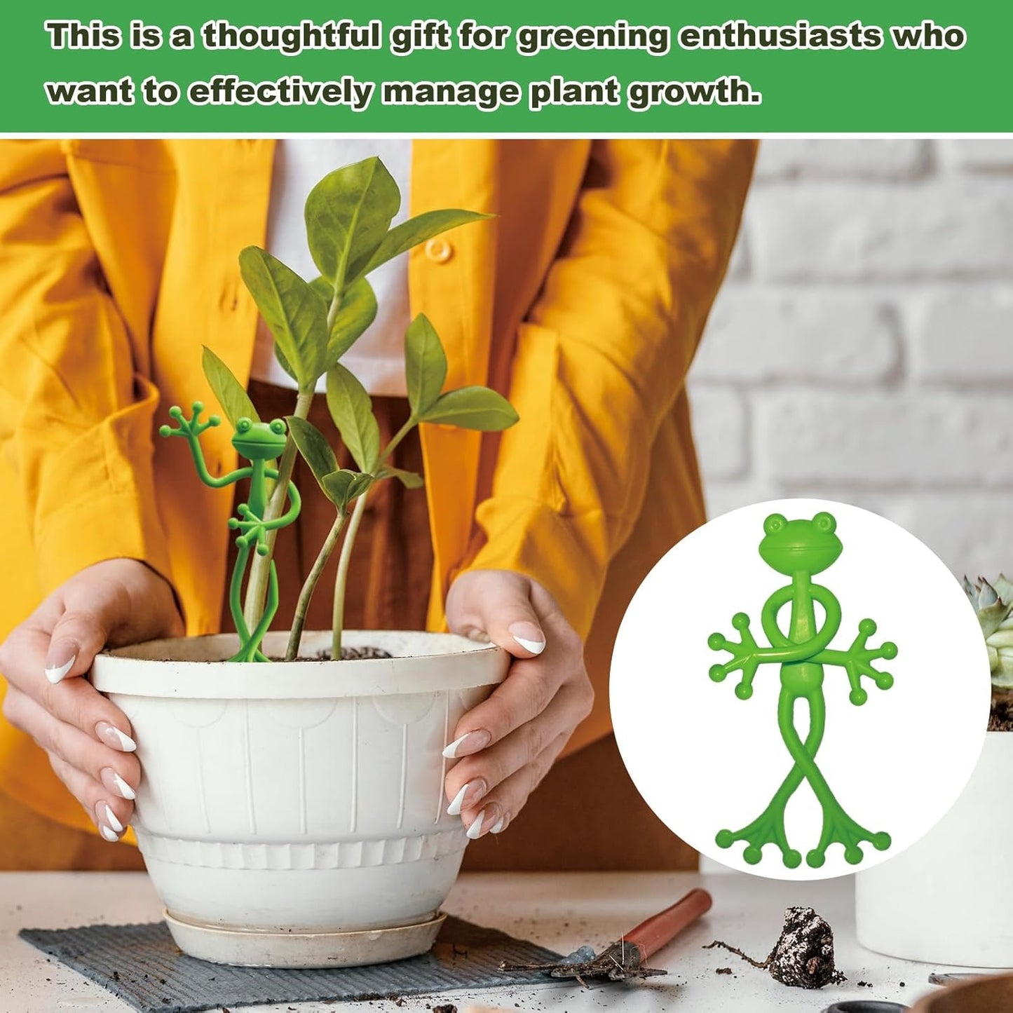 🔥Last Day 70% OFF🐸Frog Plant Holder