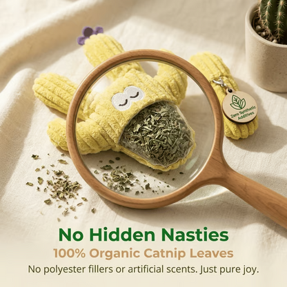 🔥Day Sale 50% OFF🐾Handmade Soft Cactus Kitten Chew Toys