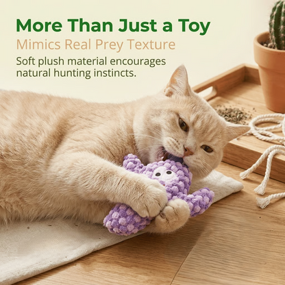 🔥Day Sale 50% OFF🐾Handmade Soft Cactus Kitten Chew Toys