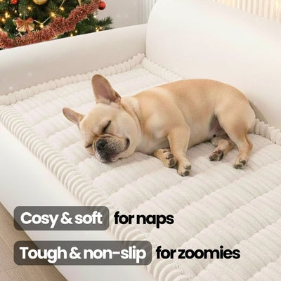 🔥Last Day 60% OFF🔥Cosy Plush Pet Seat Sofa Cover