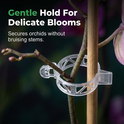 🧷 49% OFF NOW ! ⚡ 100 PCS Quick-Lock Plant Support Clips – Sturdy Support, Easy Install & Reusable Design 🌱
