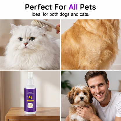 🔥Hot Sale - 49% OFF🔥Pet Detangling Spray for Dogs & Cats