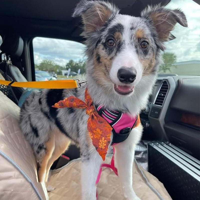💐50% OFF! Car Safety Harness – Anti-Strangle Elastic Belt 🐶✔️【Limited Offer】