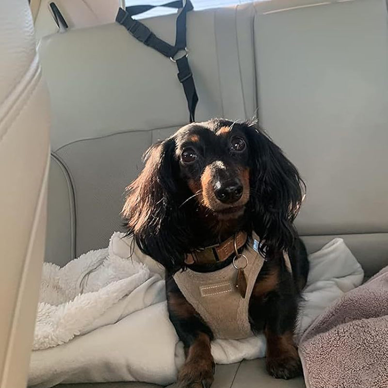 💐50% OFF! Car Safety Harness – Anti-Strangle Elastic Belt 🐶✔️【Limited Offer】