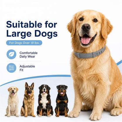 ✨Summer Limited-Time 50% OFF🔥 Adjustable Flea & Tick Collars for Dogs & Cats