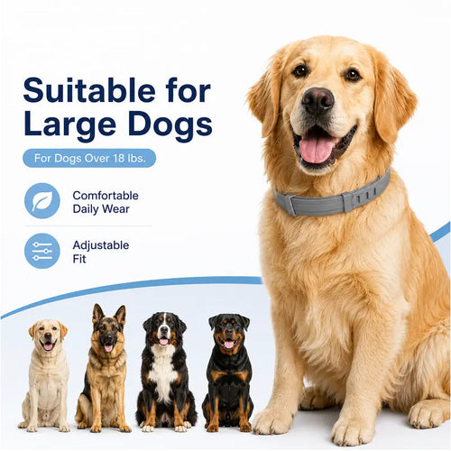 ✨Summer Limited-Time 50% OFF🔥 Adjustable Flea & Tick Collars for Dogs & Cats