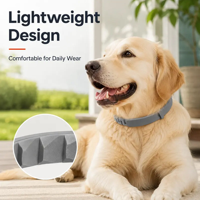✨Summer Limited-Time 50% OFF🔥 Adjustable Flea & Tick Collars for Dogs & Cats