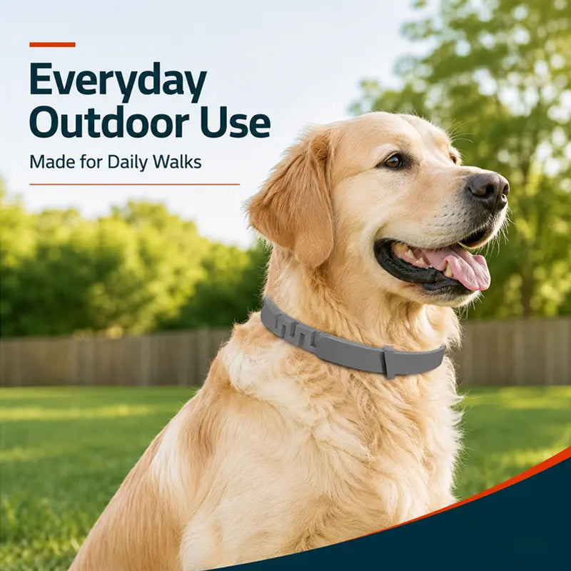 ✨Summer Limited-Time 50% OFF🔥 Adjustable Flea & Tick Collars for Dogs & Cats
