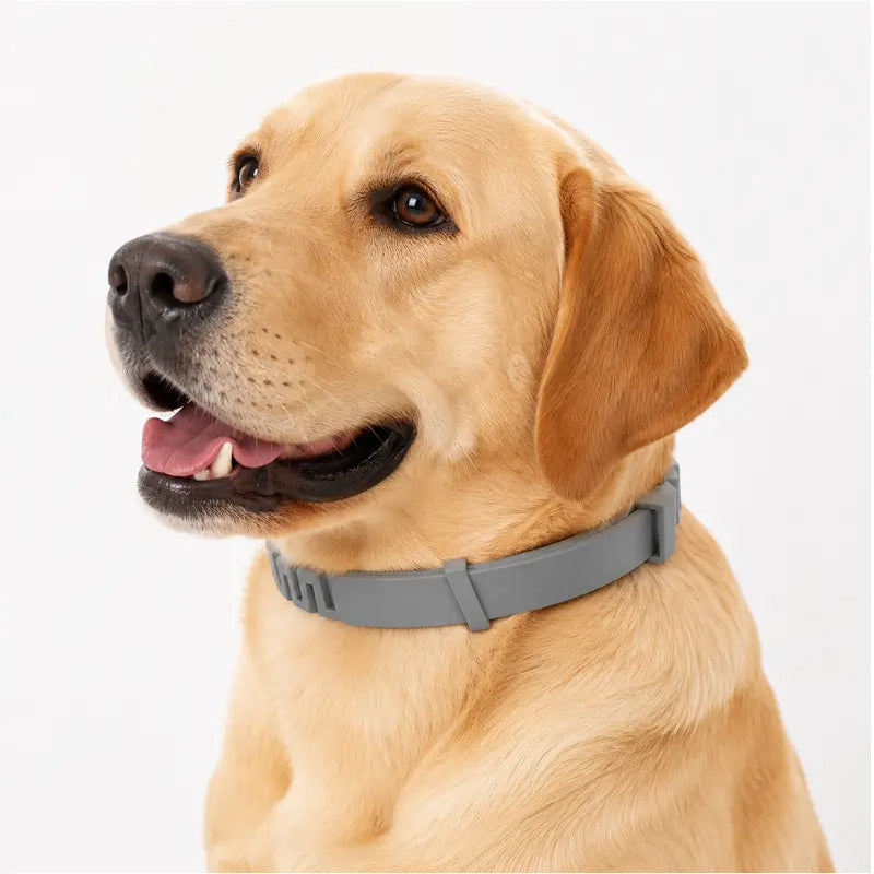 ✨Summer Limited-Time 50% OFF🔥 Adjustable Flea & Tick Collars for Dogs & Cats