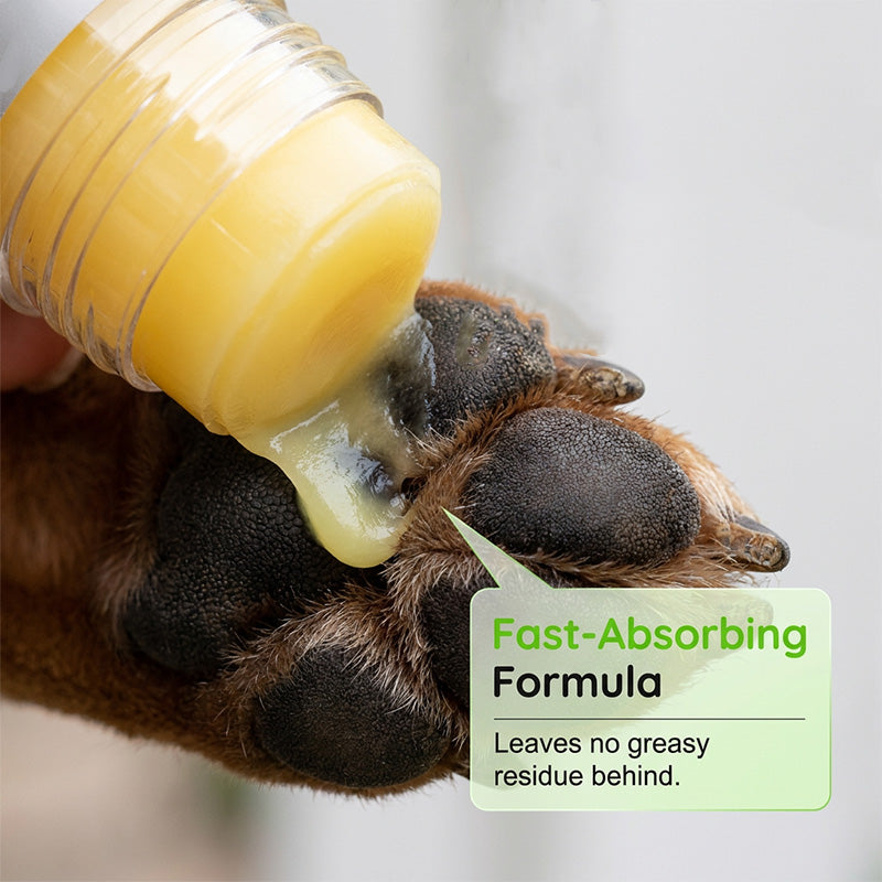 🥳2026 HOT SALE💞50K+ SOLD!🐾✨ 50% OFF! Moisturizing Pet Paw Balm Stick – Natural ingredients, safe to lick. Instant relief for cracked paws & noses. Mess‑free stick, apply anytime! 🌿🛡️